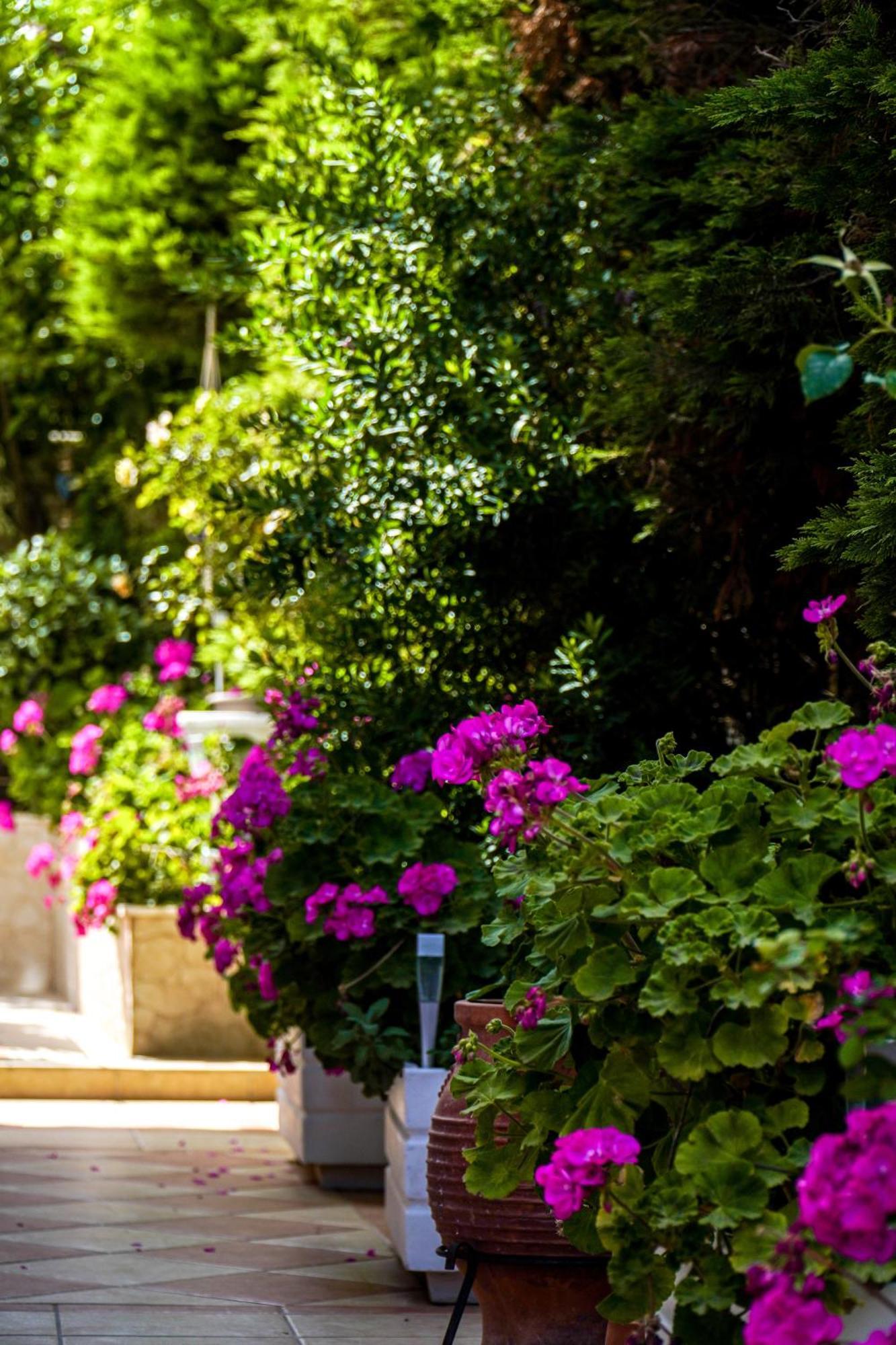 Cozy Artemis House Near Athens Airportアパートメント エクステリア 写真